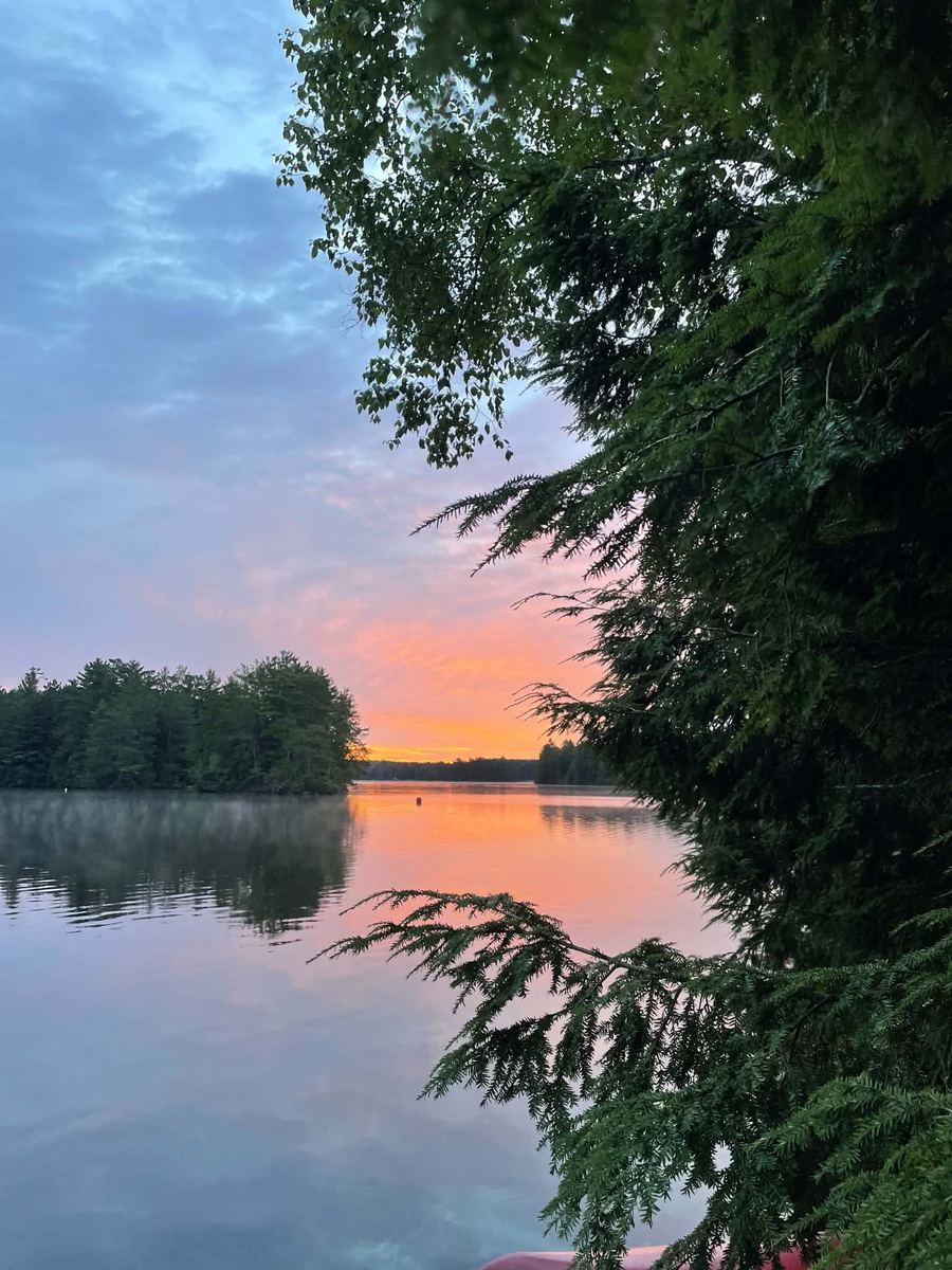 Pink and orange sunset over the lake framed by evergreens
